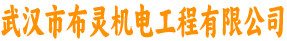 武汉市布灵机电工程有限公司